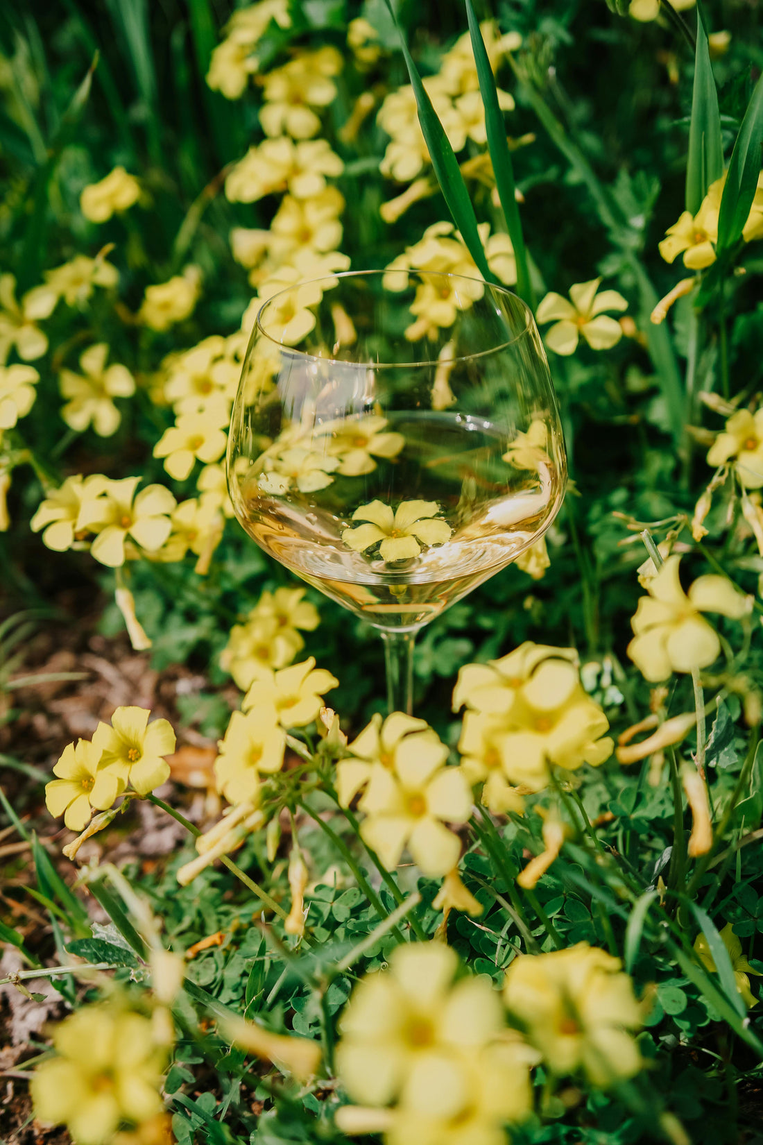 March Into Wine Season (Because Winter Isn't Done With Us Yet)